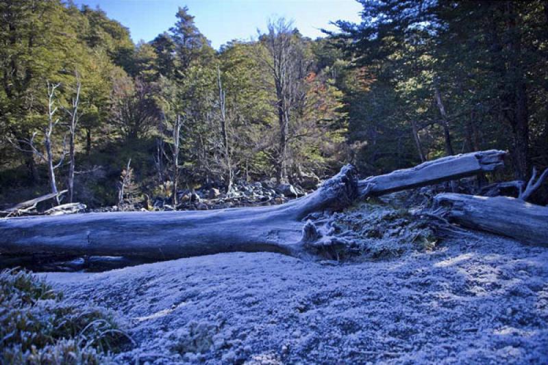 Parque Nacional Nahuel Huapi, Bariloche, Rio Negro...