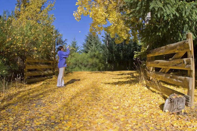 Mujer en Campo, Bariloche, Rio Negro, Patagonia, A...