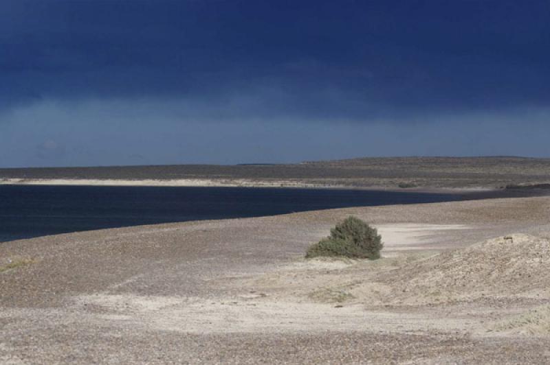 Peninsula Valdes, Patagonia, Argentina, Sur Americ...