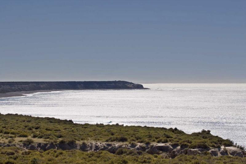 Peninsula Valdes, Patagonia, Argentina, Sur Americ...