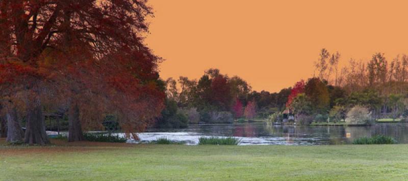 Parque Tres de Febrero, Palermo, Buenos Aires, Arg...