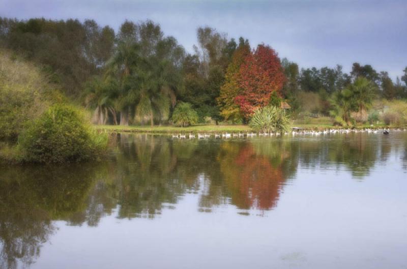 Parque Tres de Febrero, Palermo, Buenos Aires, Arg...