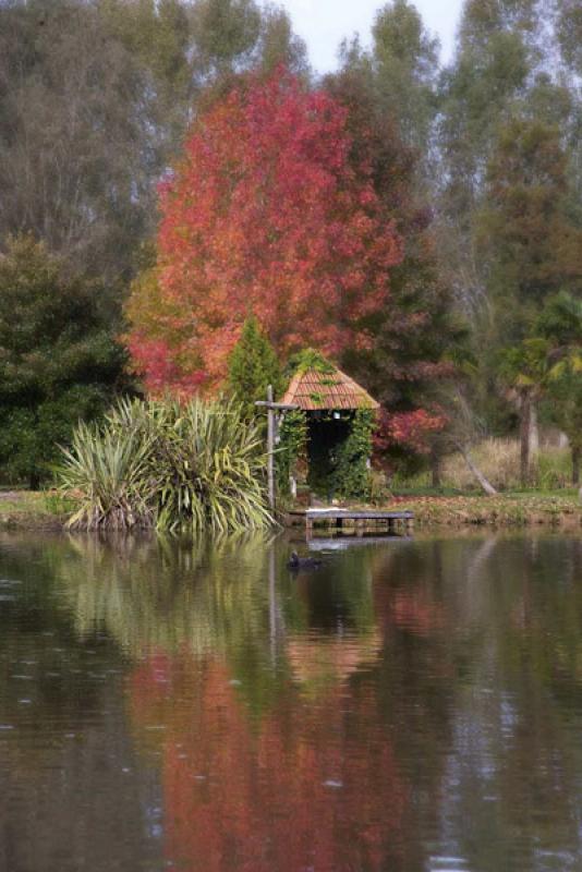 Parque Tres de Febrero, Palermo, Buenos Aires, Arg...