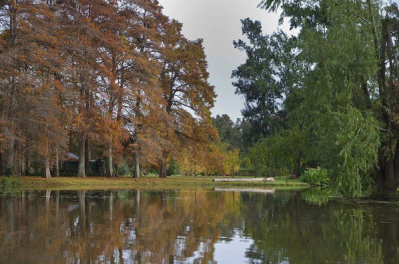 Parque Tres de Febrero, Palermo, Buenos Aires, Arg...