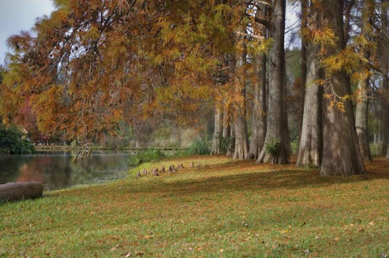 Parque Tres de Febrero, Palermo, Buenos Aires, Arg...