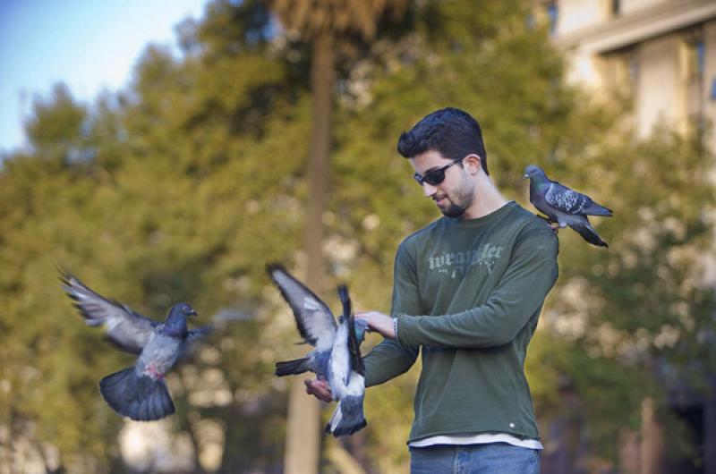 Hombre Alimentando las Palomas