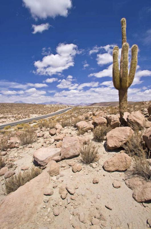 Caspana, Calama, Antofagasta, Chile, Santiago de C...