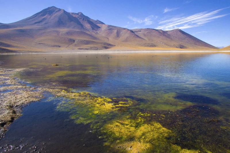 Laguna MiÃ±iques, San Pedro de Atacama, Antofaga...