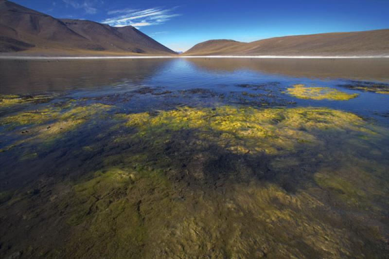 Laguna MiÃ±iques, San Pedro de Atacama, Antofaga...