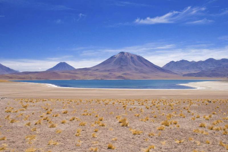 Laguna Miscanti, San Pedro de Atacama, Antofagasta...