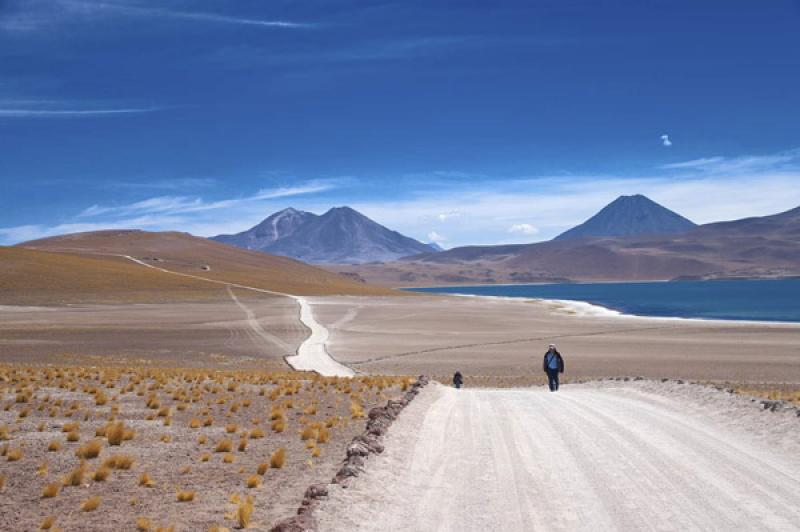 Laguna Miscanti, San Pedro de Atacama, Antofagasta...