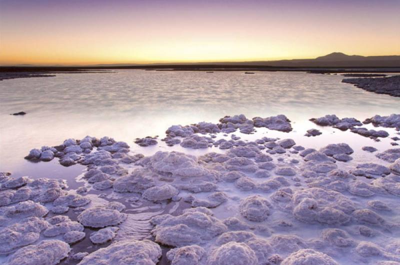 Laguna Tebenquiche, San Pedro de Atacama, Antofaga...