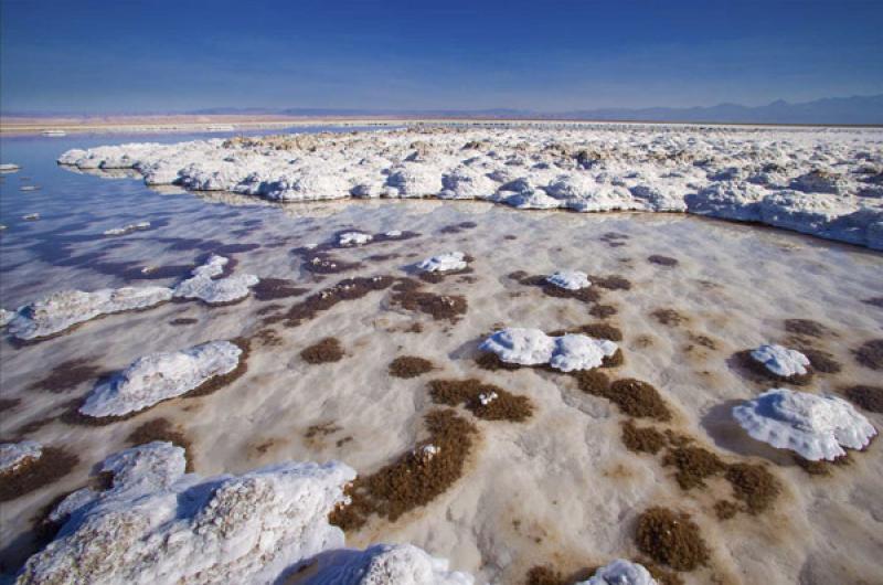 Laguna Tebenquiche, San Pedro de Atacama, Antofaga...