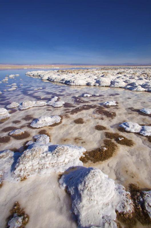 Laguna Tebenquiche, San Pedro de Atacama, Antofaga...