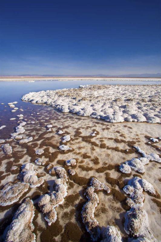 Laguna Tebenquiche, San Pedro de Atacama, Antofaga...