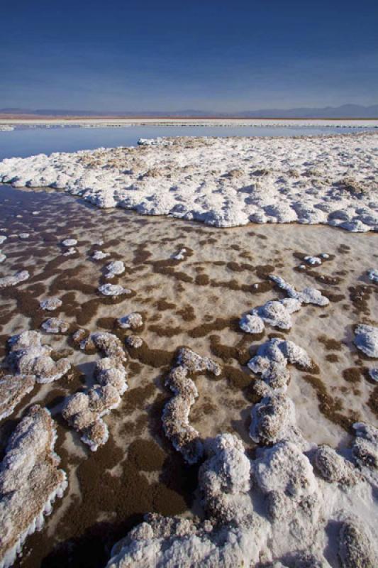 Laguna Tebenquiche, San Pedro de Atacama, Antofaga...