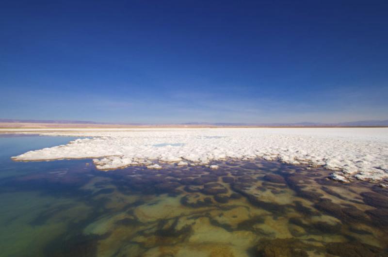 Laguna Tebenquiche, San Pedro de Atacama, Antofaga...