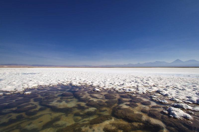 Laguna Tebenquiche, San Pedro de Atacama, Antofaga...