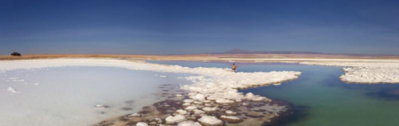 Laguna Tebenquiche, San Pedro de Atacama, Antofaga...