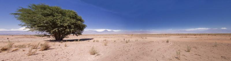 Desierto de Atacama, San Pedro de Atacama, Antofag...