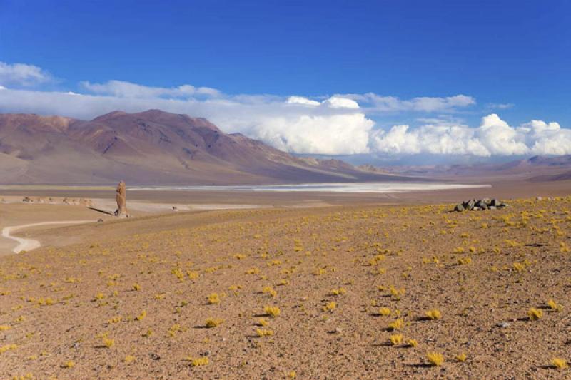 Monjes de la Pacana, San Pedro de Atacama, Antofag...