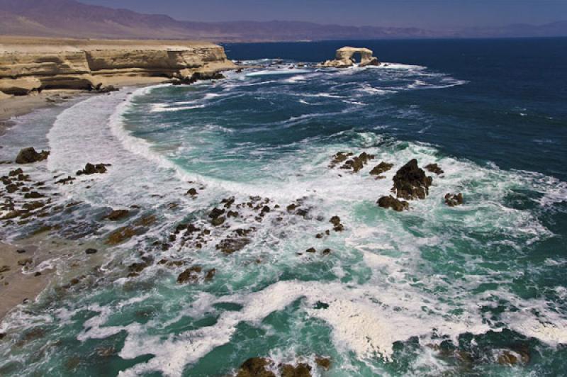 Reserva Nacional La Chimba, Antofagasta, Chile, Sa...