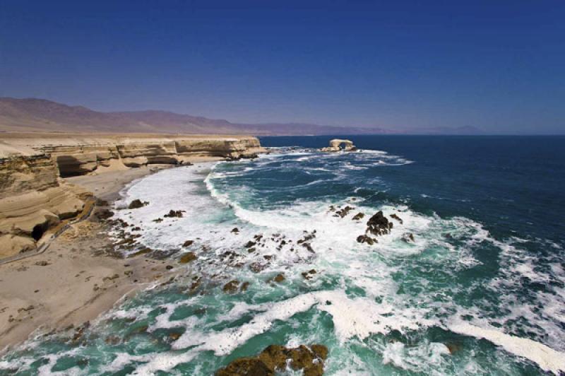 Reserva Nacional La Chimba, Antofagasta, Chile, Sa...