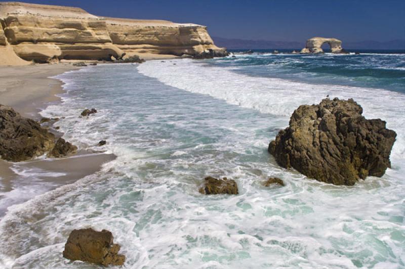 Reserva Nacional La Chimba, Antofagasta, Chile, Sa...