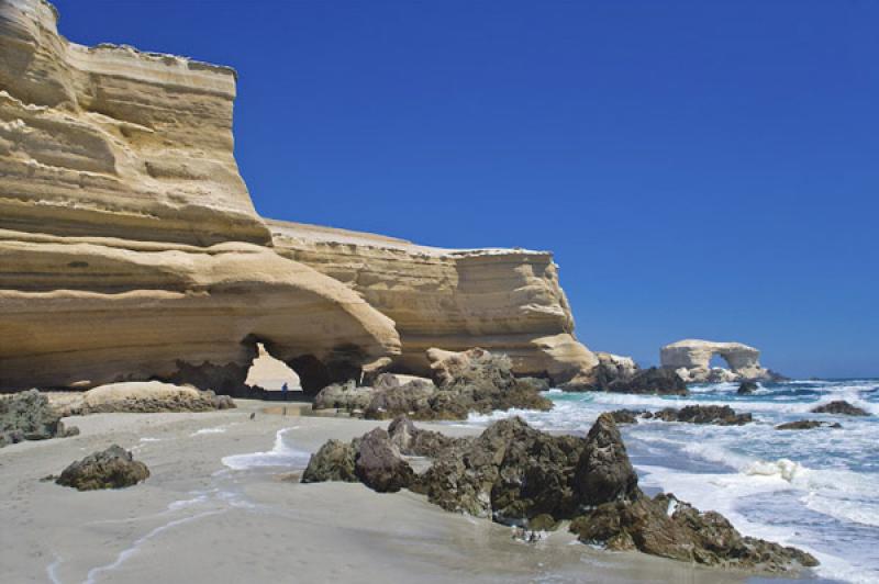 Reserva Nacional La Chimba, Antofagasta, Chile, Sa...