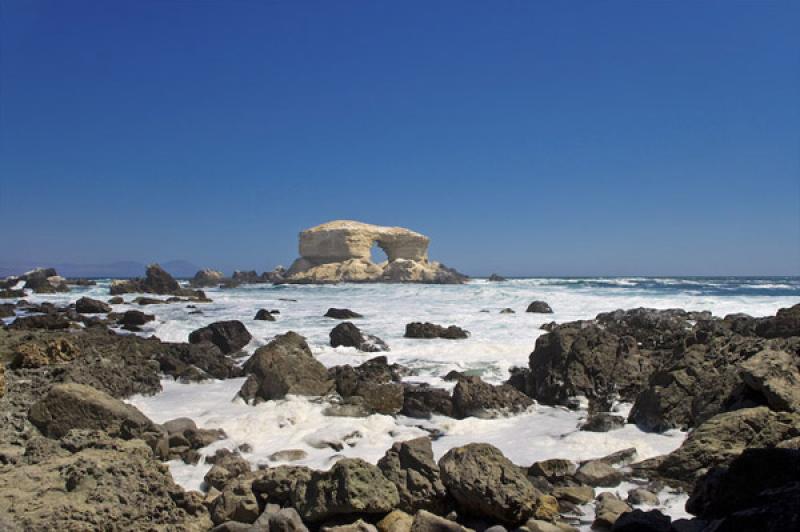 Reserva Nacional La Chimba, Antofagasta, Chile, Sa...