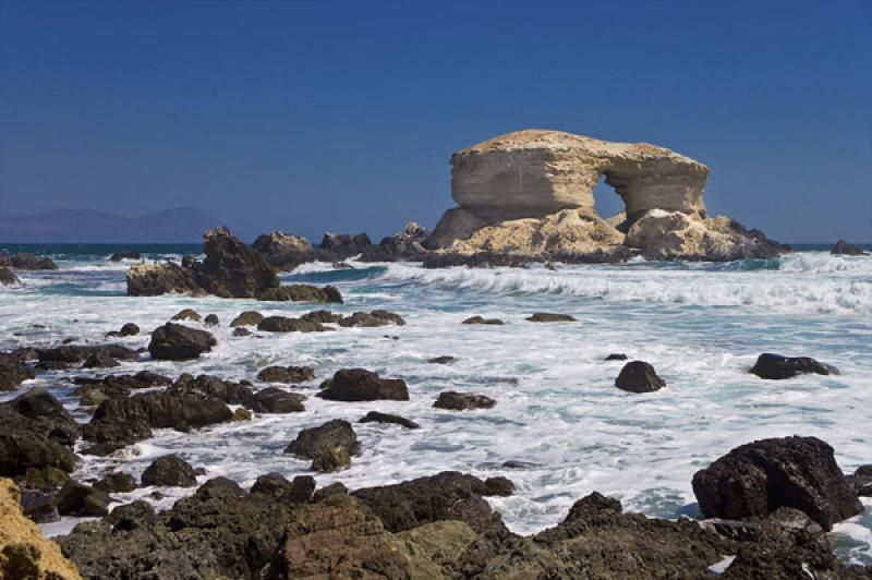 Reserva Nacional La Chimba, Antofagasta, Chile, Sa...