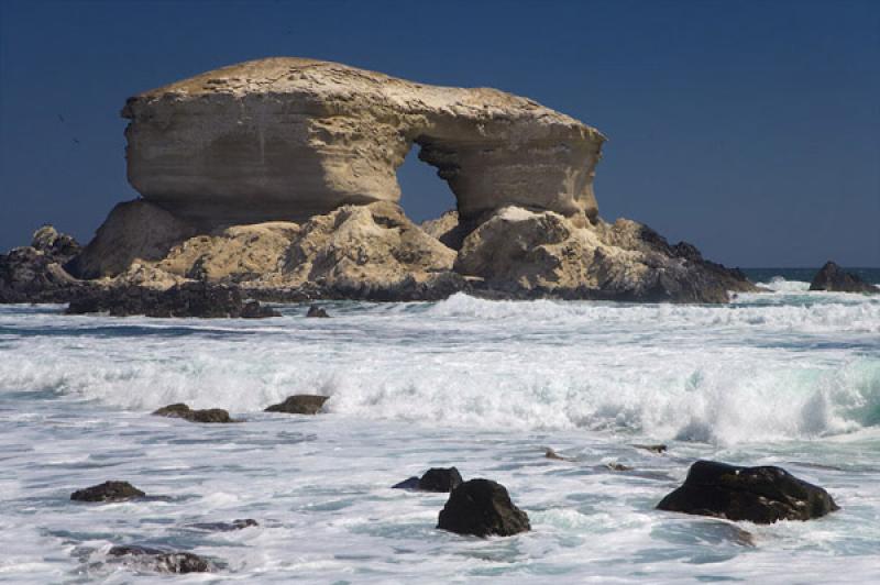 Reserva Nacional La Chimba, Antofagasta, Chile, Sa...