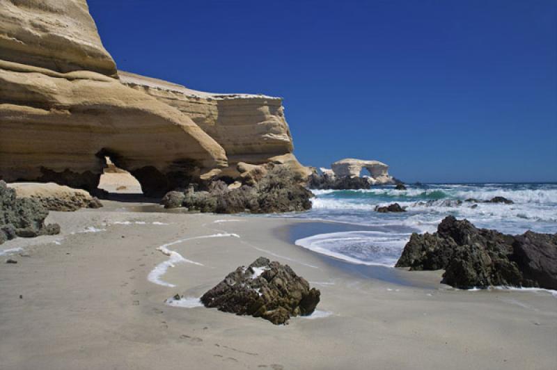 Reserva Nacional La Chimba, Antofagasta, Chile, Sa...