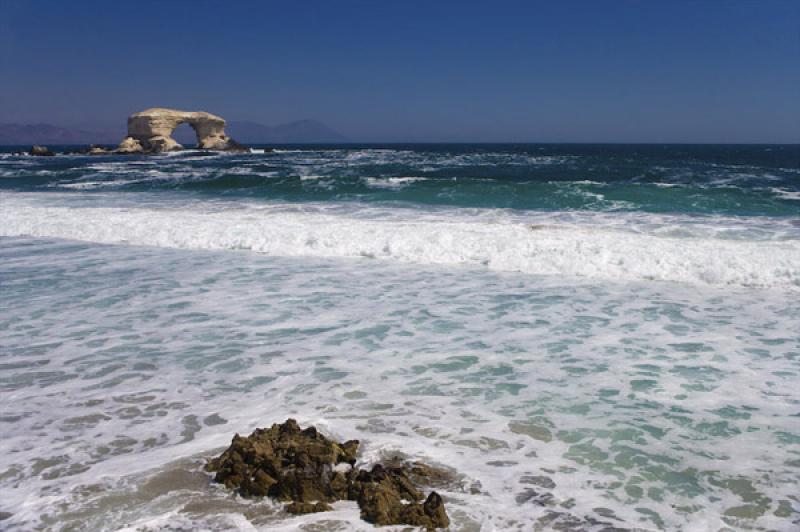 Reserva Nacional La Chimba, Antofagasta, Chile, Sa...