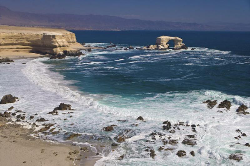 Reserva Nacional La Chimba, Antofagasta, Chile, Sa...