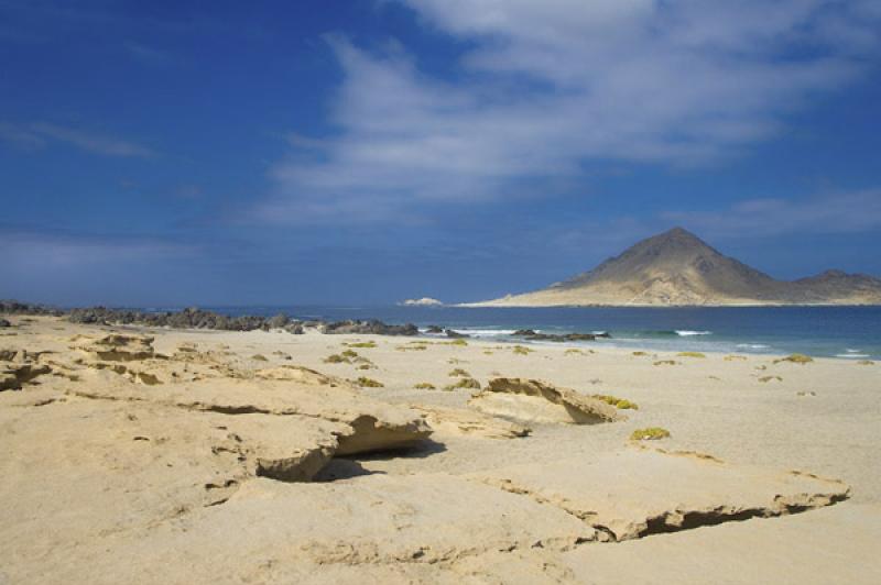 Parque Nacional Pan de Azucar, ChaÃ±aral, Antofa...