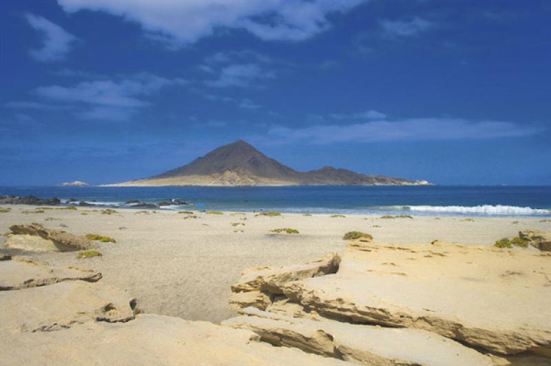 Parque Nacional Pan de Azucar, ChaÃ±aral, Antofa...