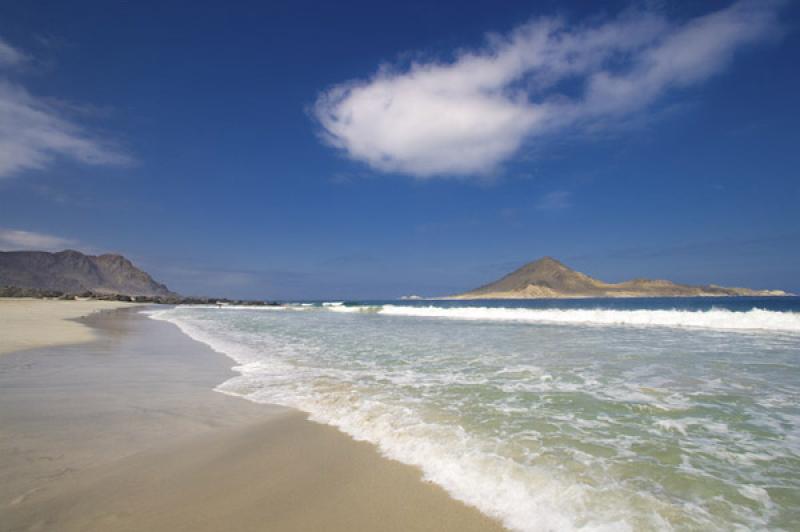 Parque Nacional Pan de Azucar, ChaÃ±aral, Antofa...