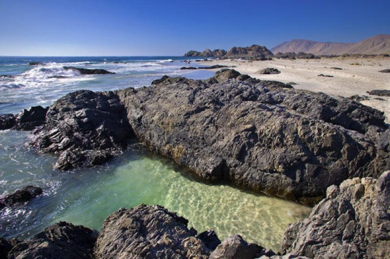 Parque Nacional Pan de Azucar, ChaÃ±aral, Antofa...