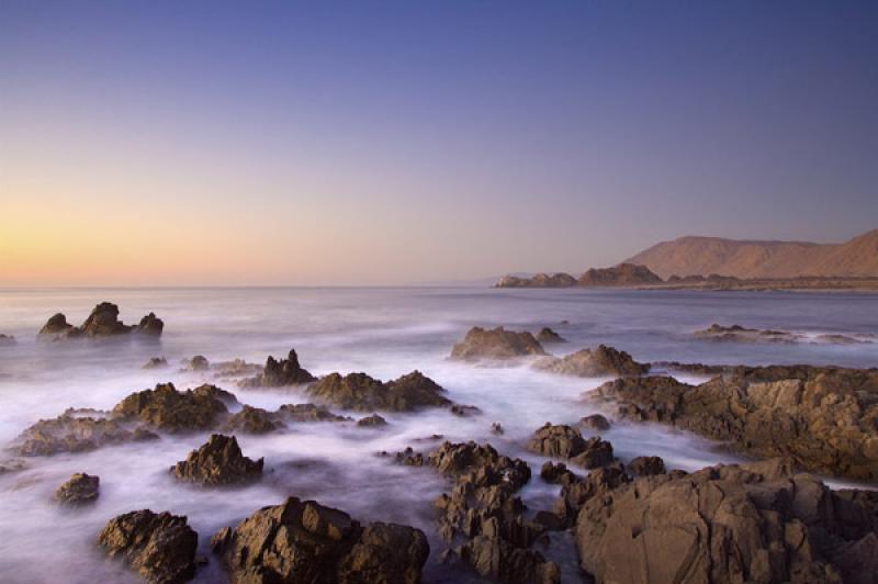 Parque Nacional Pan de Azucar, ChaÃ±aral, Antofa...