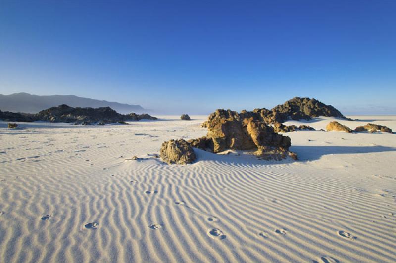 Parque Nacional Pan de Azucar, ChaÃ±aral, Antofa...