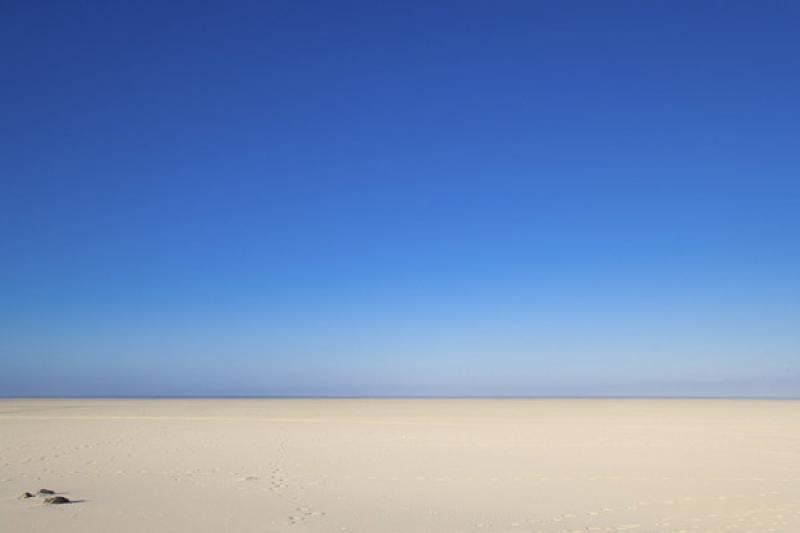 Parque Nacional Pan de Azucar, ChaÃ±aral, Antofa...