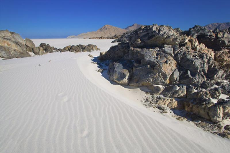 Parque Nacional Pan de Azucar, ChaÃ±aral, Antofa...