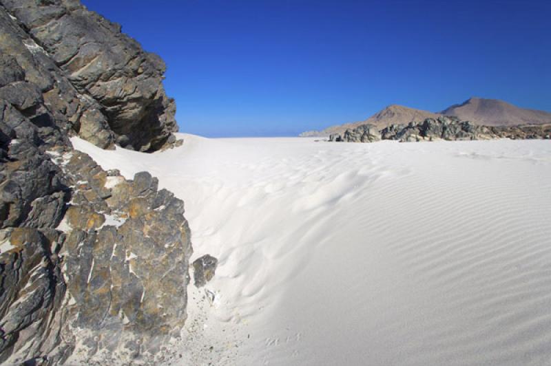 Parque Nacional Pan de Azucar, ChaÃ±aral, Antofa...