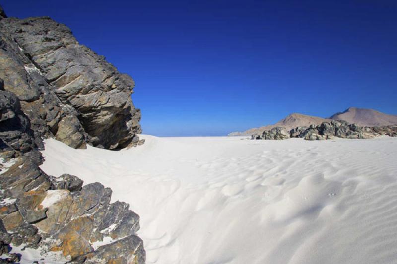 Parque Nacional Pan de Azucar, ChaÃ±aral, Antofa...