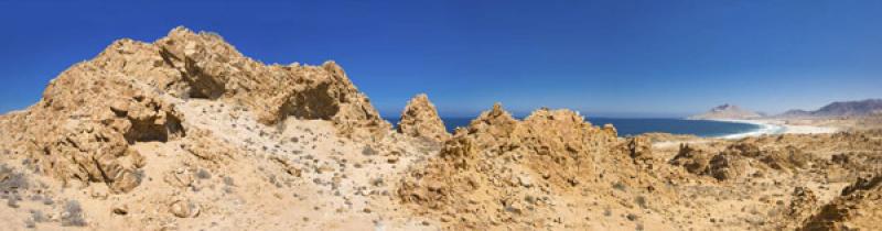 Parque Nacional Pan de Azucar, ChaÃ±aral, Antofa...