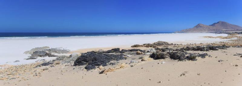 Parque Nacional Pan de Azucar, ChaÃ±aral, Antofa...