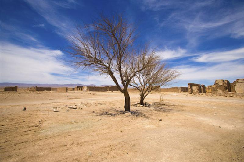 Pampa Union, Sierra Gorda, Antofagasta, Chile, San...