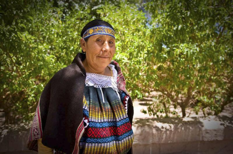 Mujer Mapuches, San Pedro de Atacama, Antofagasta,...