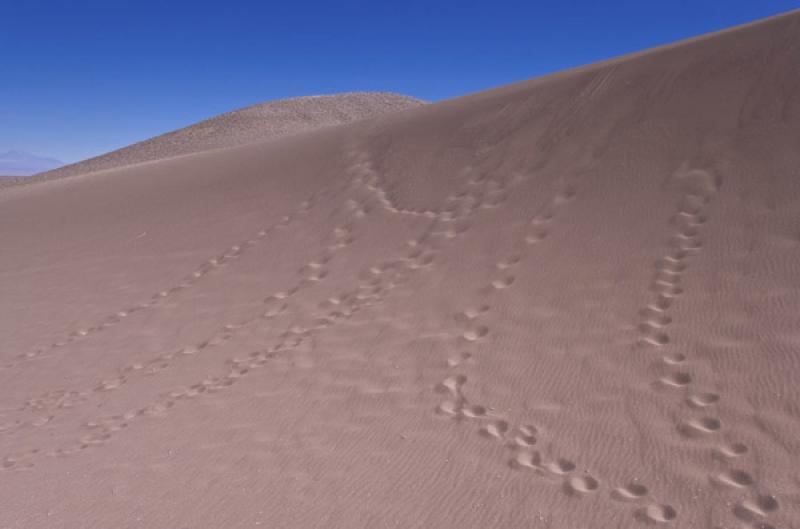 Valle de la Luna, San Pedro de Atacama, Antofagast...